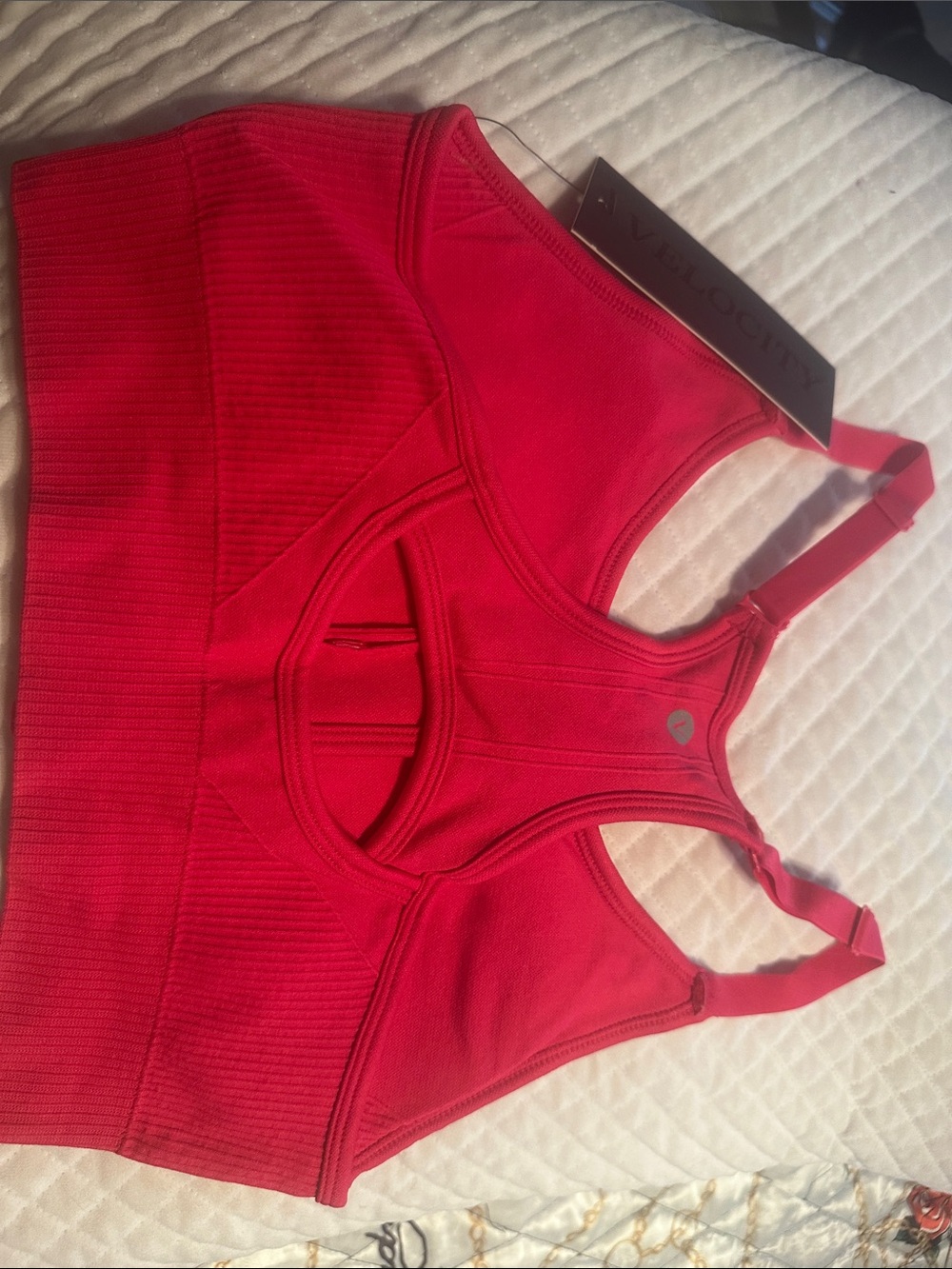 Velocity Front-Zip Sports Bra - Red - Picture 4 of 5